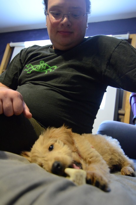 68 max looks down upon puppy.JPG